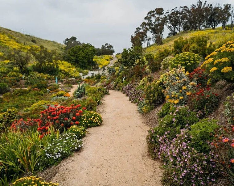 Ventura Botanical Gardens, United States
